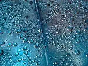 Moisture and Water