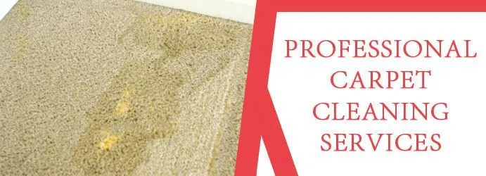 Professional Carpet Cleaning Services Sydney