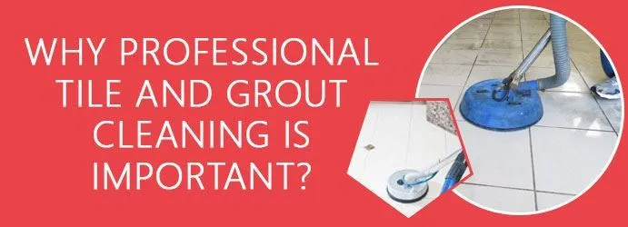 Tile and Grout Cleaning Sydney