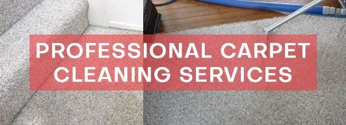 Professional Carpet Cleaning Services