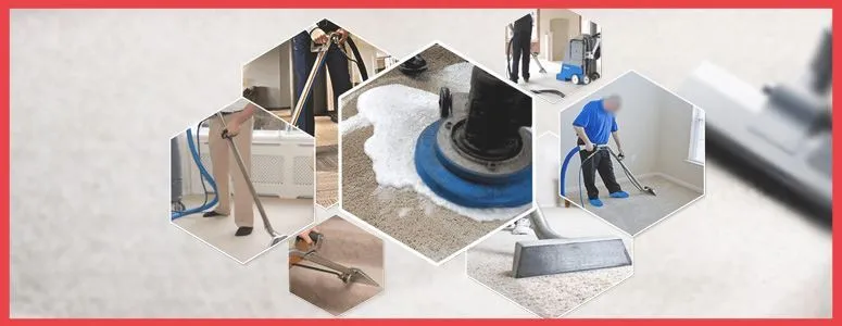 Carpet Sanitisation Service