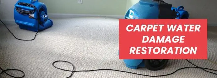 Carpet Water Damage Restoration