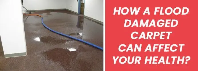 Flood Damaged Carpet Cleaning