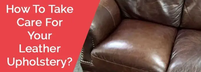 Leather Upholstery Cleaning Service