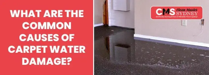 Carpet Water Damage