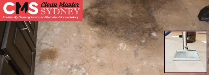 Carpet Mould Removal