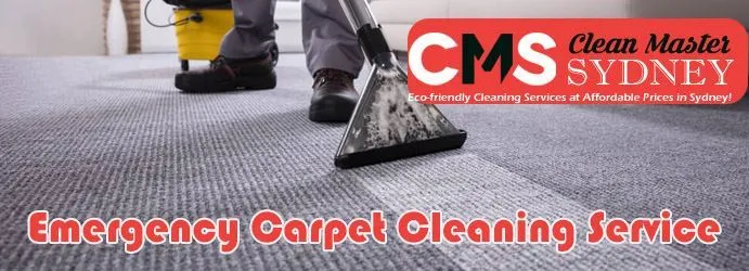Carpet Cleaning Services