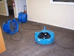 Carpet Flood Water Damage Restoration