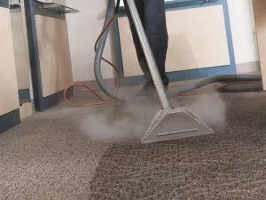 Carpet Steam Cleaning