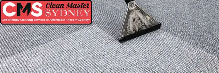 Carpet Sanitizing Service