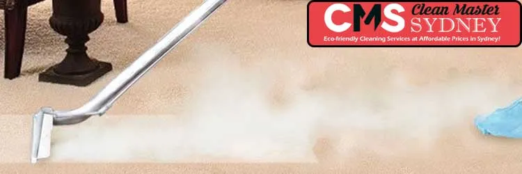 Carpet Steam Cleaning