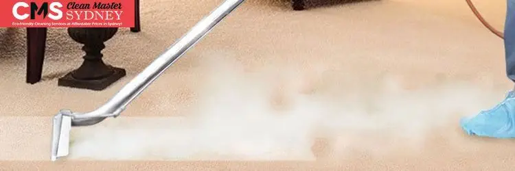 Carpet Steam Cleaning