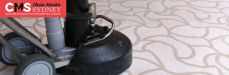 Professional Carpet Cleaner
