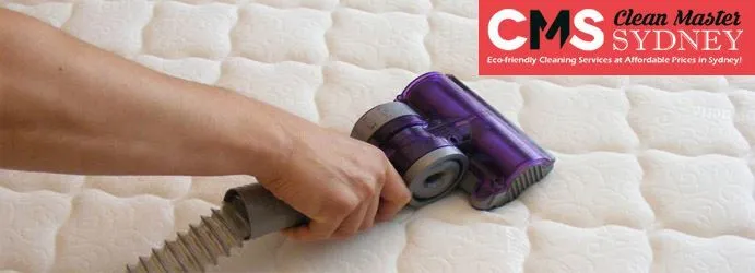Rapid Mattress Steam Cleaning