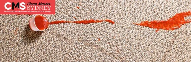 Remove Food Stains from Carpet
