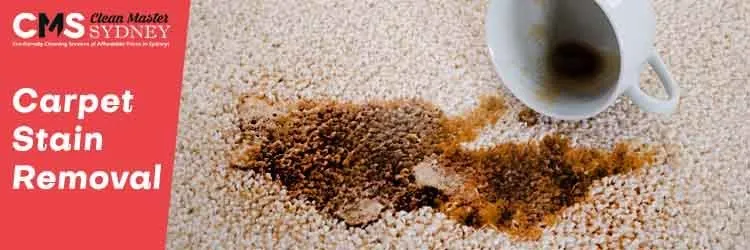 Carpet Stain Removal