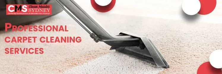 Professional Carpet Cleaning
