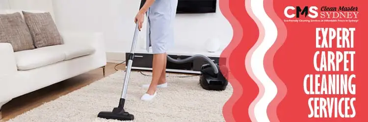 Carpet Cleaning Service