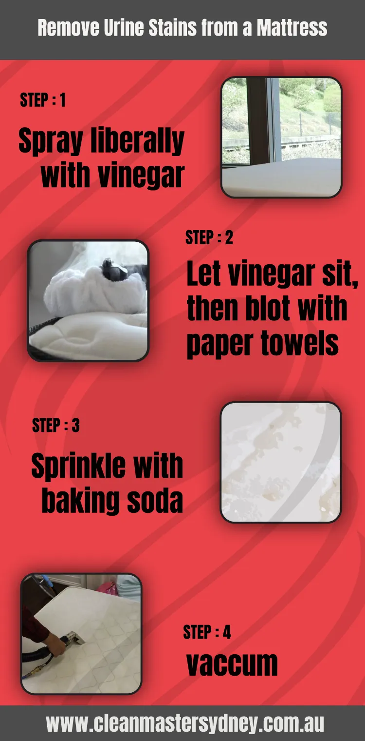 Remove Urine Stains From A Mattress