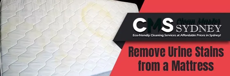 Remove Urine Stains from A Mattress