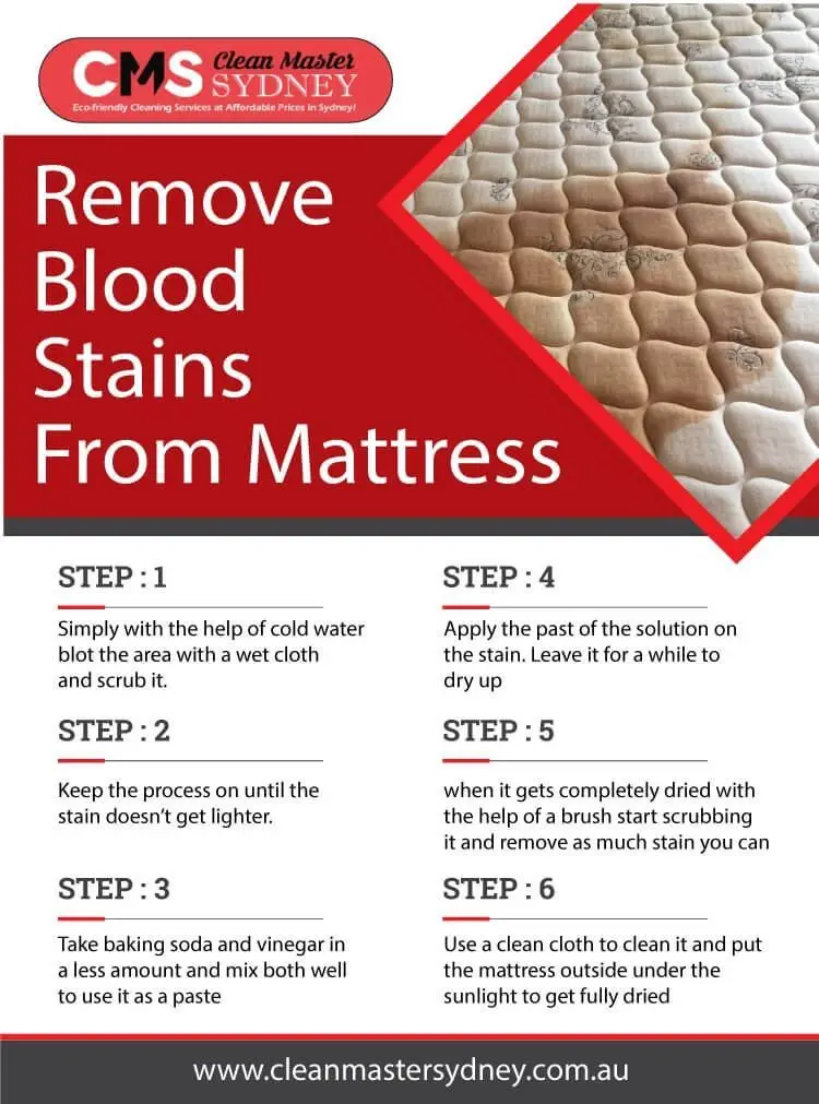 Blood Stain Removal Services