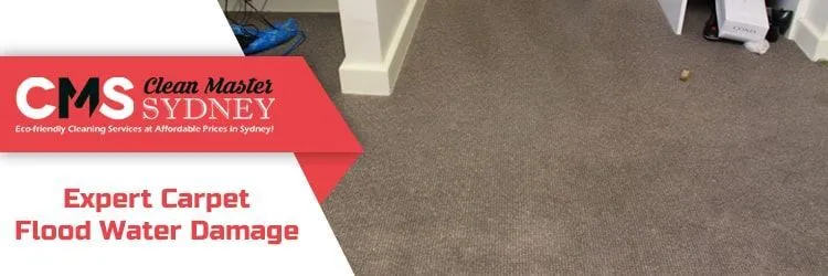 Best Carpet Flood Water Damage