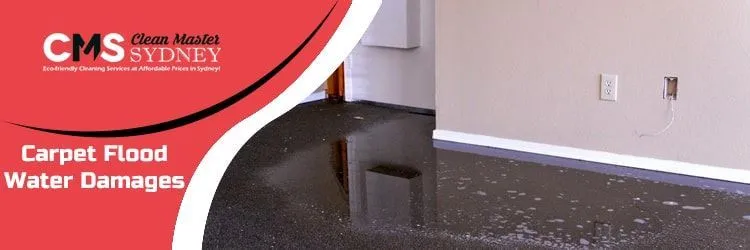 Carpet Flood Water Damages