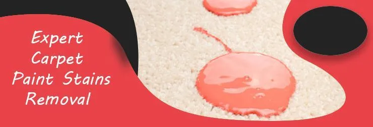 Expert Carpet paint Stain Removal
