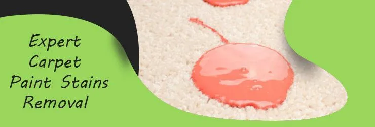 Expert Carpet paint Stain Removal