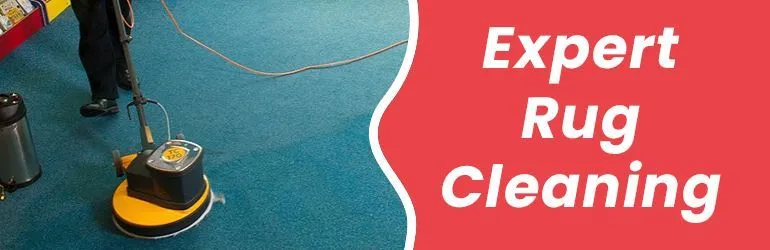 Expert Carpet Cleaning