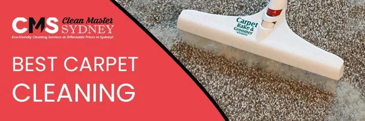 Best Carpet Cleaning Service