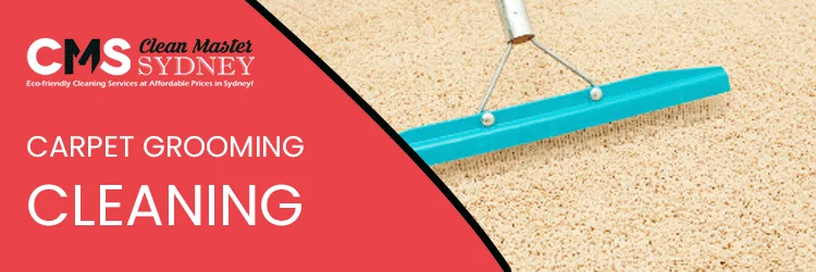 Carpet Grooming Cleaning