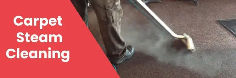 Carpet Steam Cleaning Service