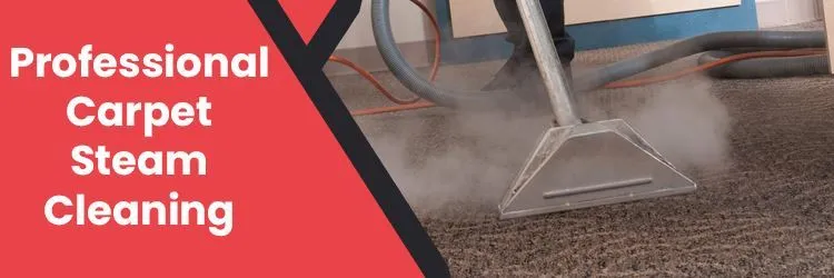 PROFESSIONAL CARPET STEAM CLEANING