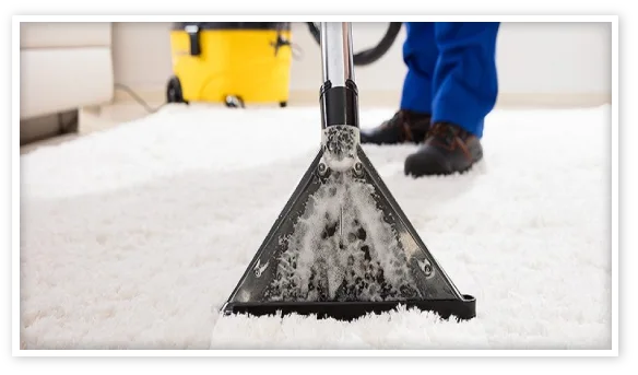 Carpet Cleaning Service