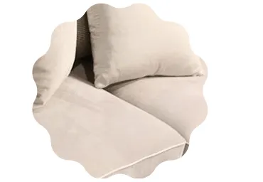 Fabric Couch Cleaning Sydney