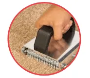 Carpet damage by pets