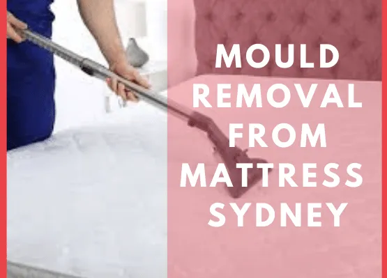 Mould Removal From Mattress in Sydney