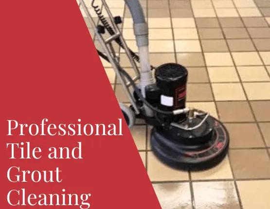 Professional Tile and Grout Cleaner 