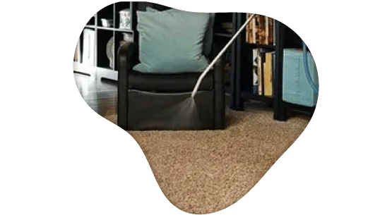 Scotchgard Carpet Protection Services