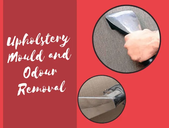 Upholstery Mould and Odour Removal Services Sydney