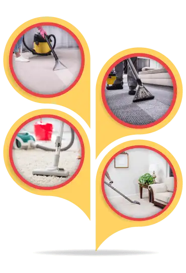 Professional Carpet Cleaning Service