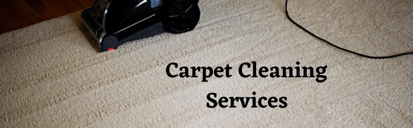 Carpet Cleaning Services