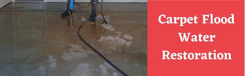 Flood Water Restoration Services