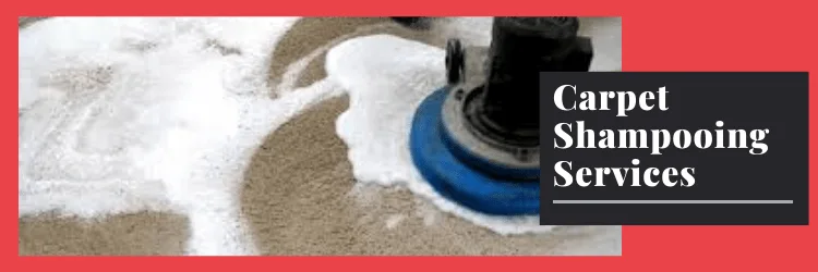 Carpet Shampooing Service
