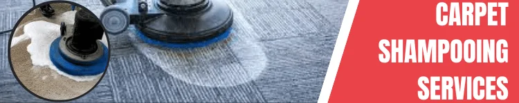 Carpet Shampooing service