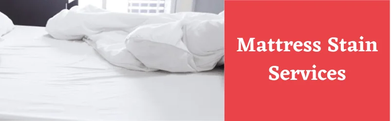 Mattress Stain Removing Services