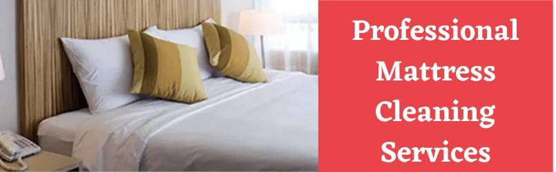 Mattress Cleaning Services
