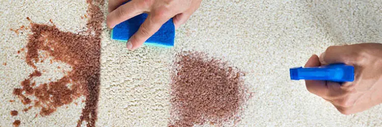 Carpet Stain Cleaning Service