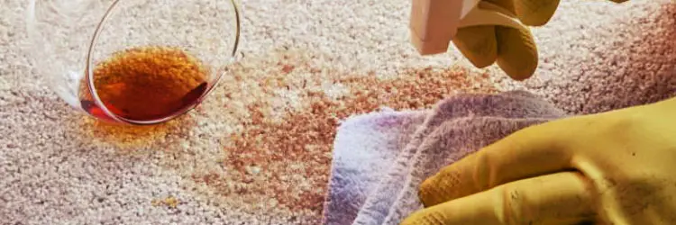 Carpet Stain Removal Service